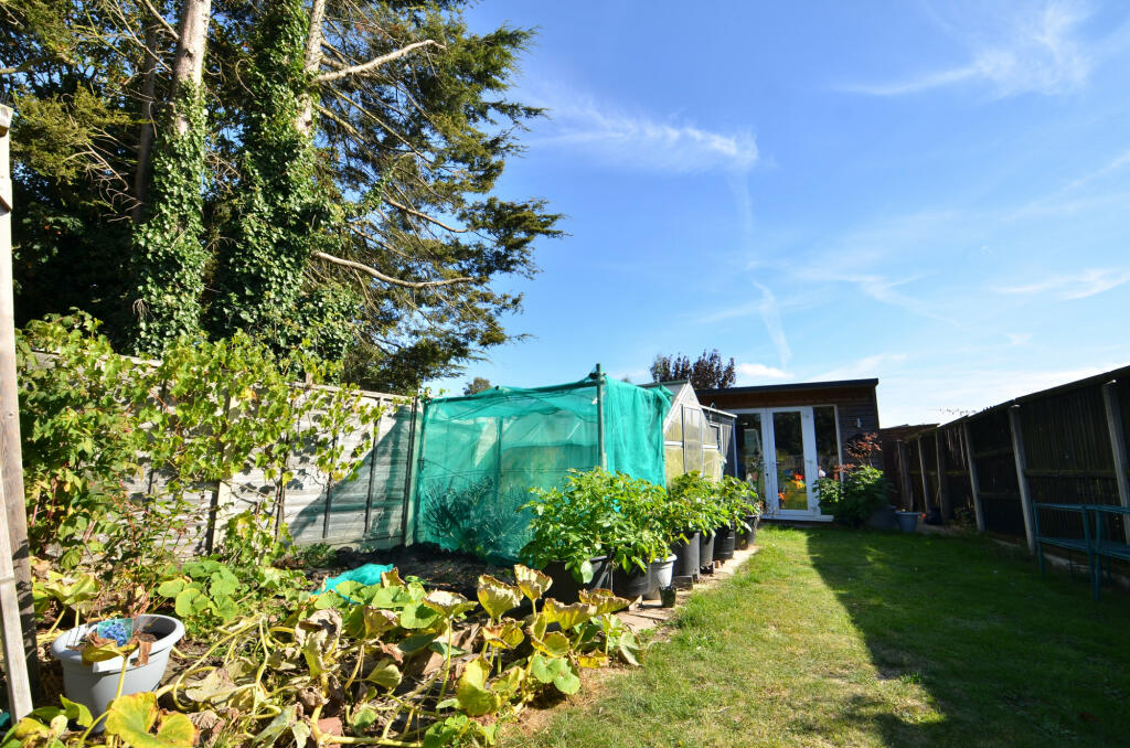 Additional image 16 of Little Oakley