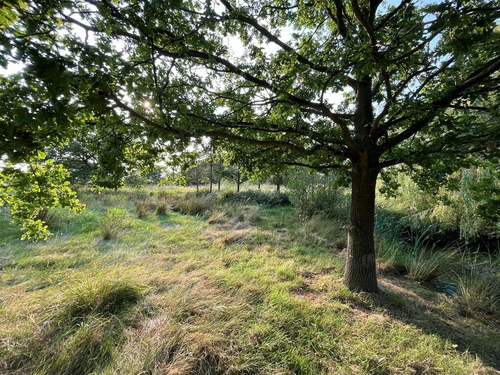 Additional image 10 of Land to the South of Edward Road, Thorpe-le-Soken