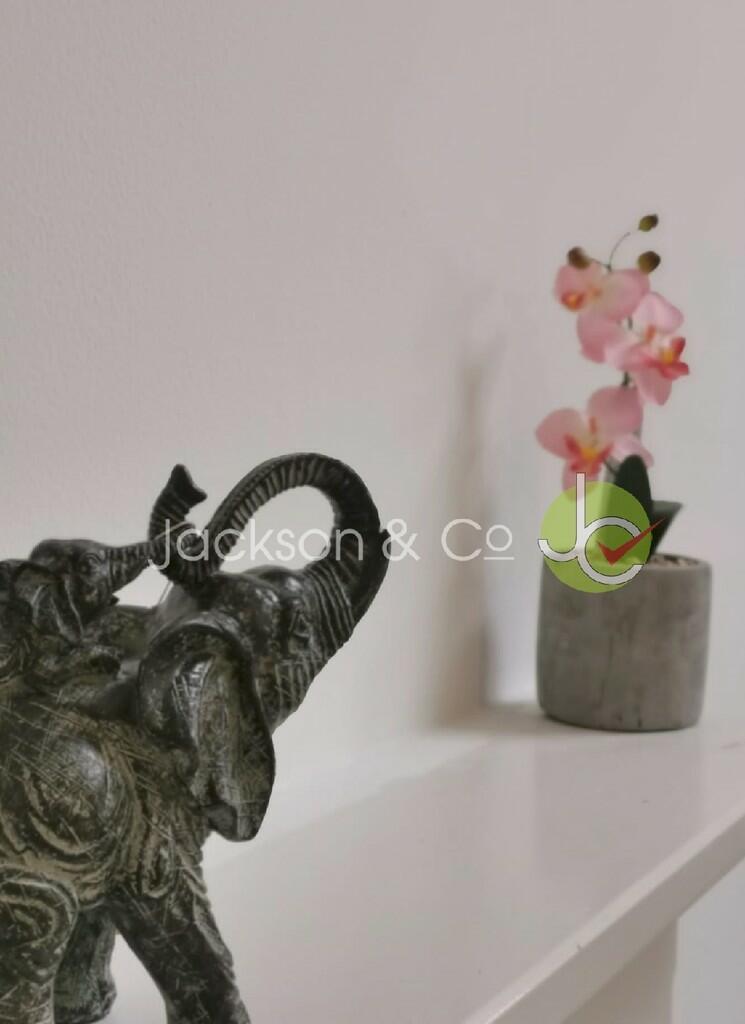 Additional image 3 of Elmstead Road, Colchester