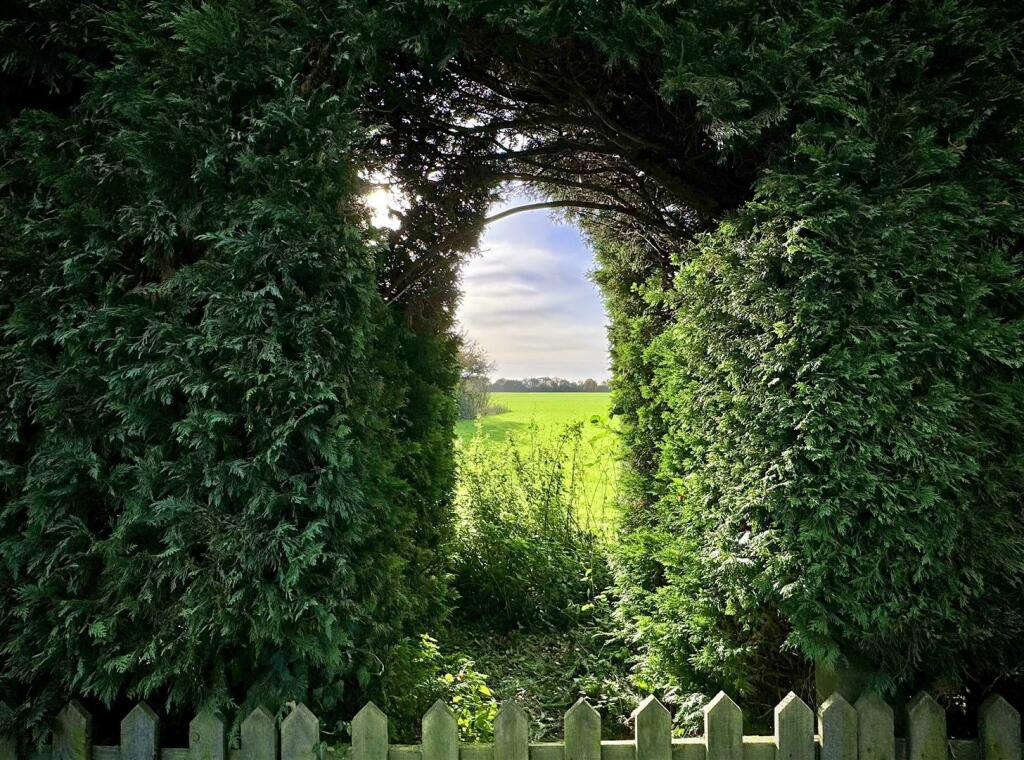 Additional image 31 of Gransmore Green, Felsted, Dunmow