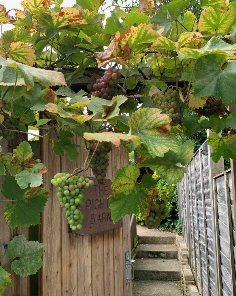 Additional image 18 of Finchingfield