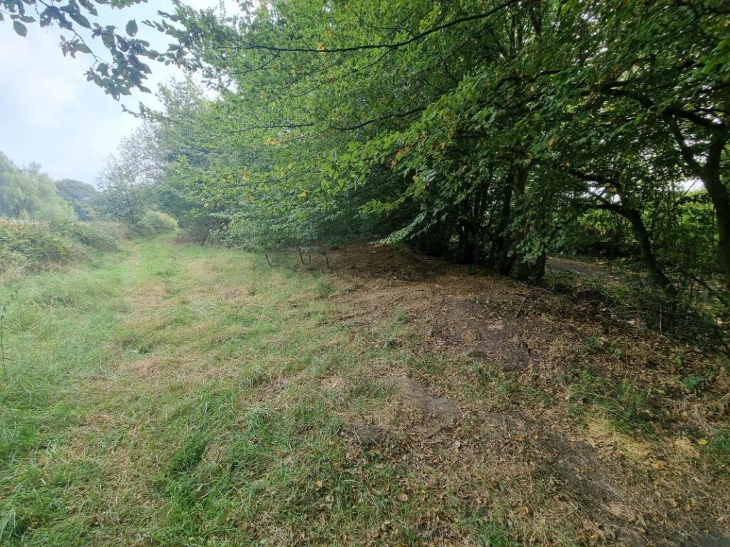 Additional image 6 of Land Lying to the East of, Goatsmoor Lane, Ingatestone, Essex, CM4 9RS