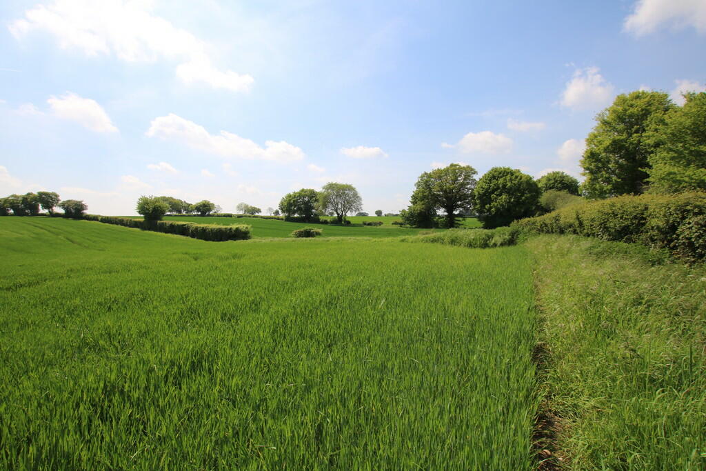 Additional image 2 of Shalford, Braintree