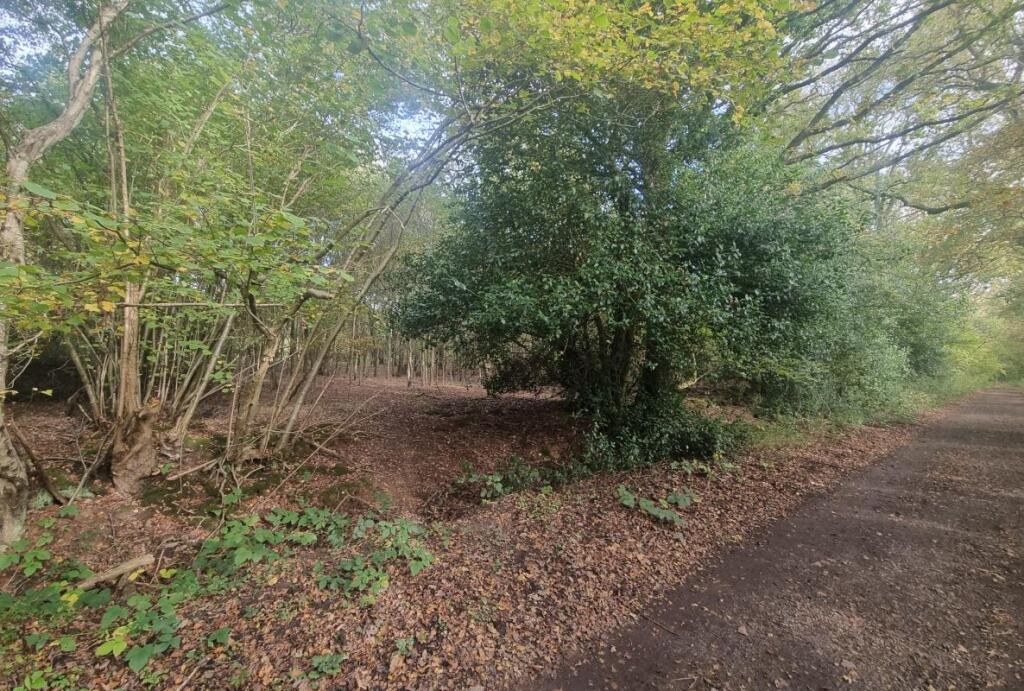 Additional image 2 of Land Lying to the East of, Goatsmoor Lane, Ingatestone, Essex, CM4 9RS