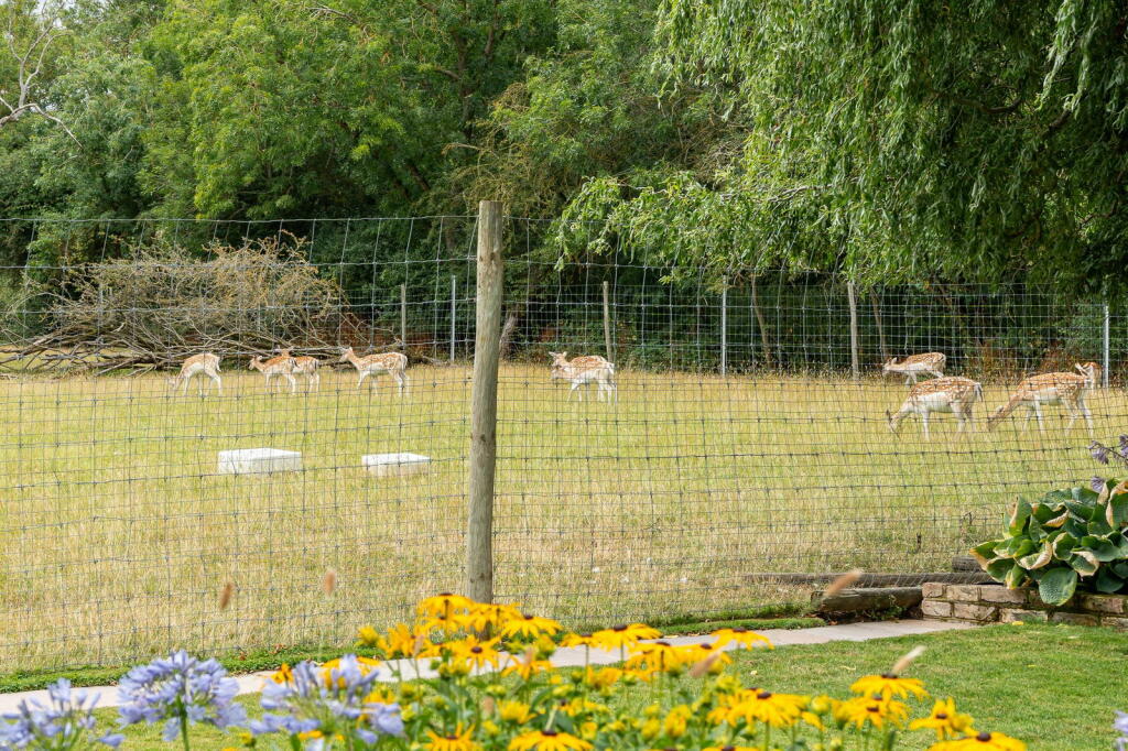 Additional image 6 of Ferry Road, North Fambridge, Chelmsford, CM3 6LS