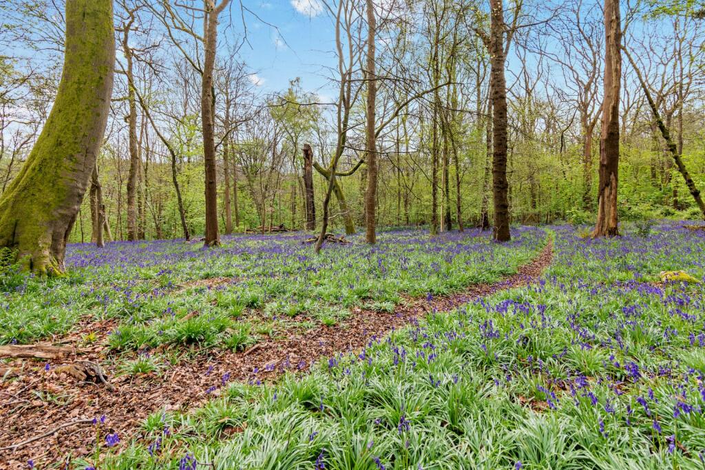 Additional image 36 of Tupwood Lane, Caterham, Surrey