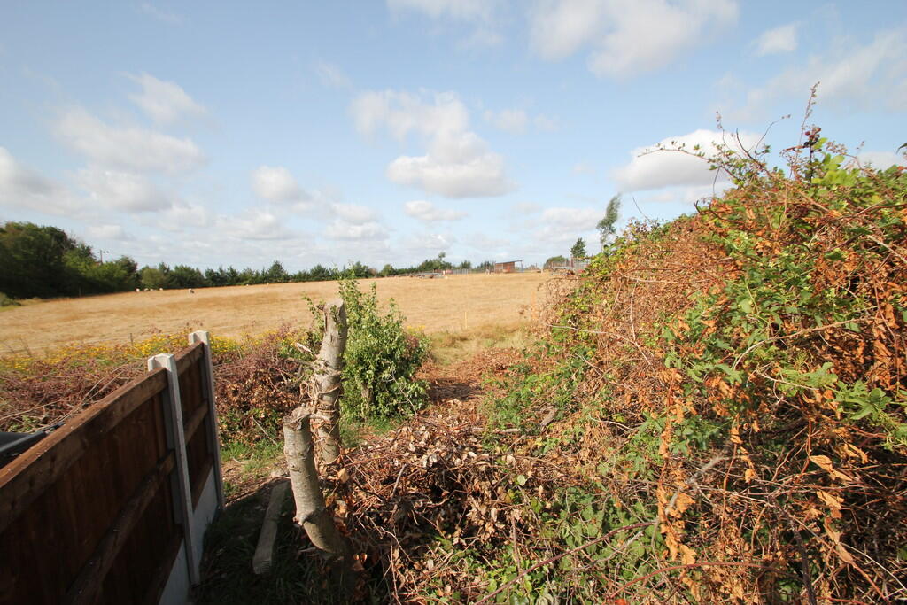 Additional image 13 of Layer Breton Hill, Layer Breton