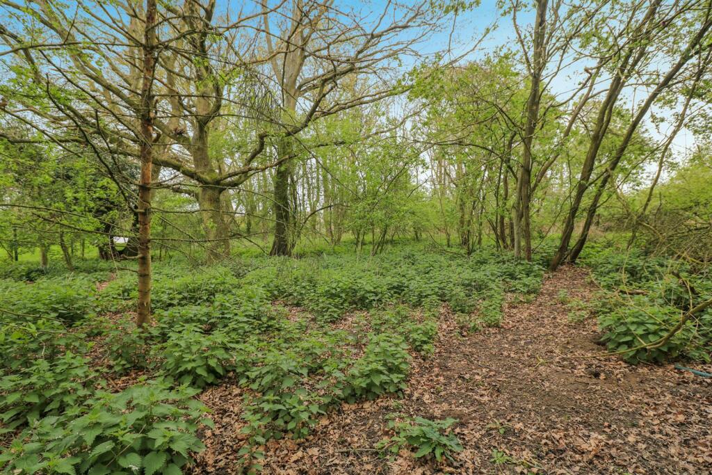 Additional image 20 of Fairstead Road, Terling, Chelmsford