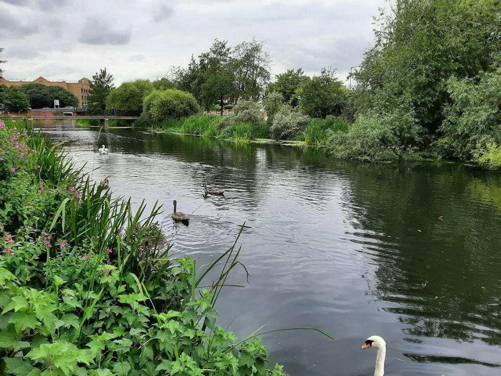 Additional image 4 of Moulsham Mill, Parkway, Chelmsford, Essex, CM2