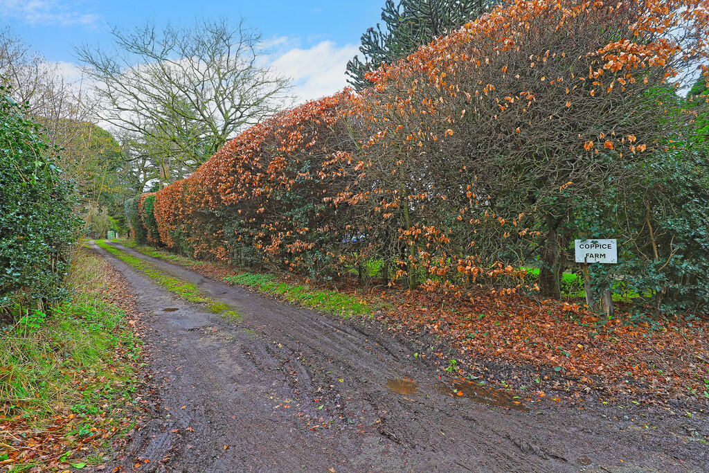 Additional image 15 of Coppice Row, Theydon Bois