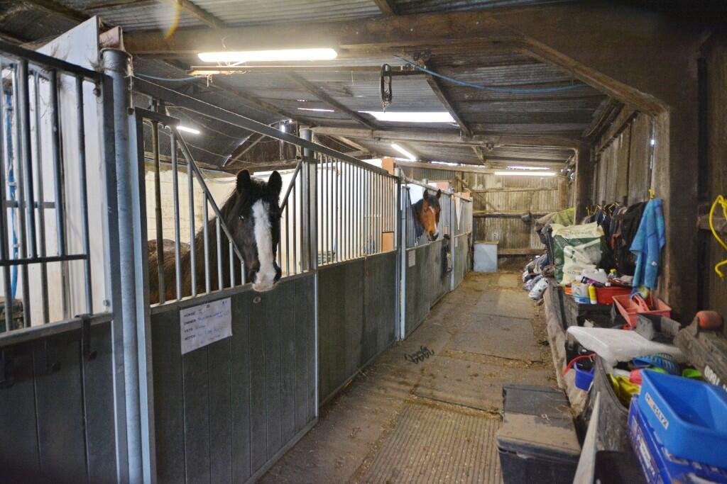 Additional image 10 of CAE HIC LIVERY, FFORDD Y BLAENAU, MOLD, CH7 4NS