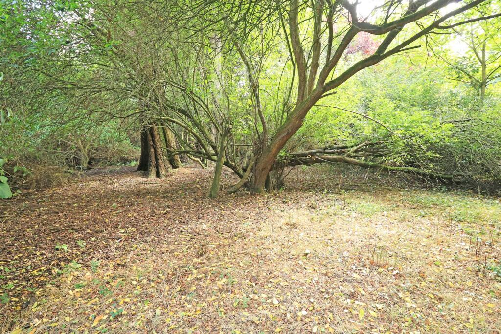 Additional image 4 of Damases Lane, Boreham