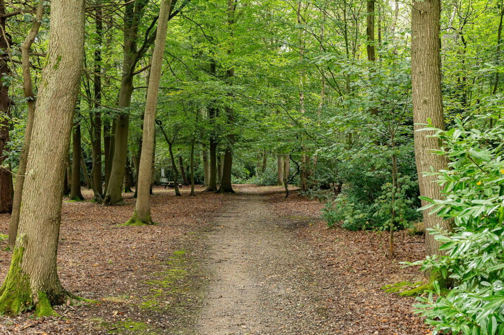 Additional image 37 of Thorndon Park, Ingrave, Brentwood, CM13 3RJ