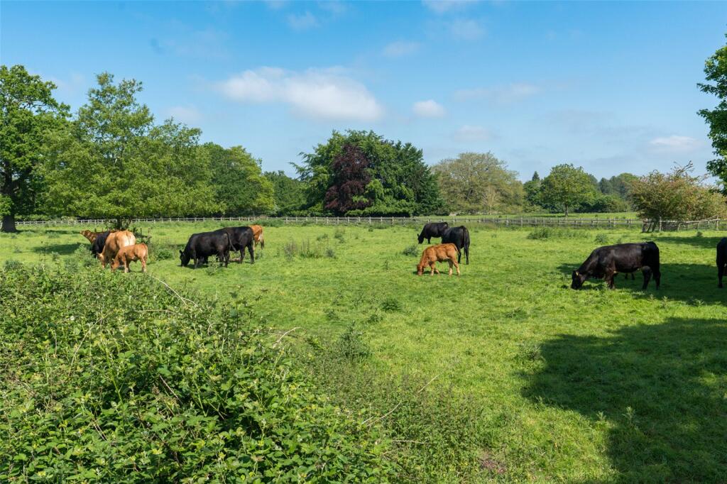 Additional image 44 of Lambs Corner, Birchwood Road, Dedham, Essex, CO7