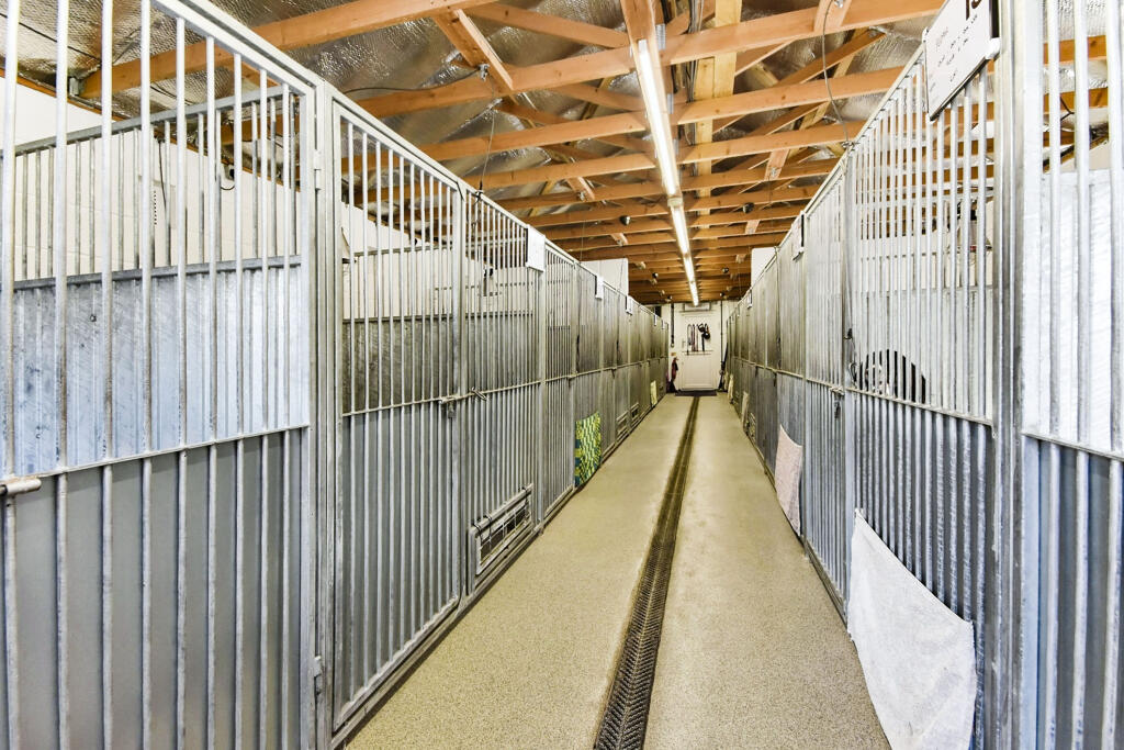 Additional image 13 of Coggeshall Road, Stisted, Braintree