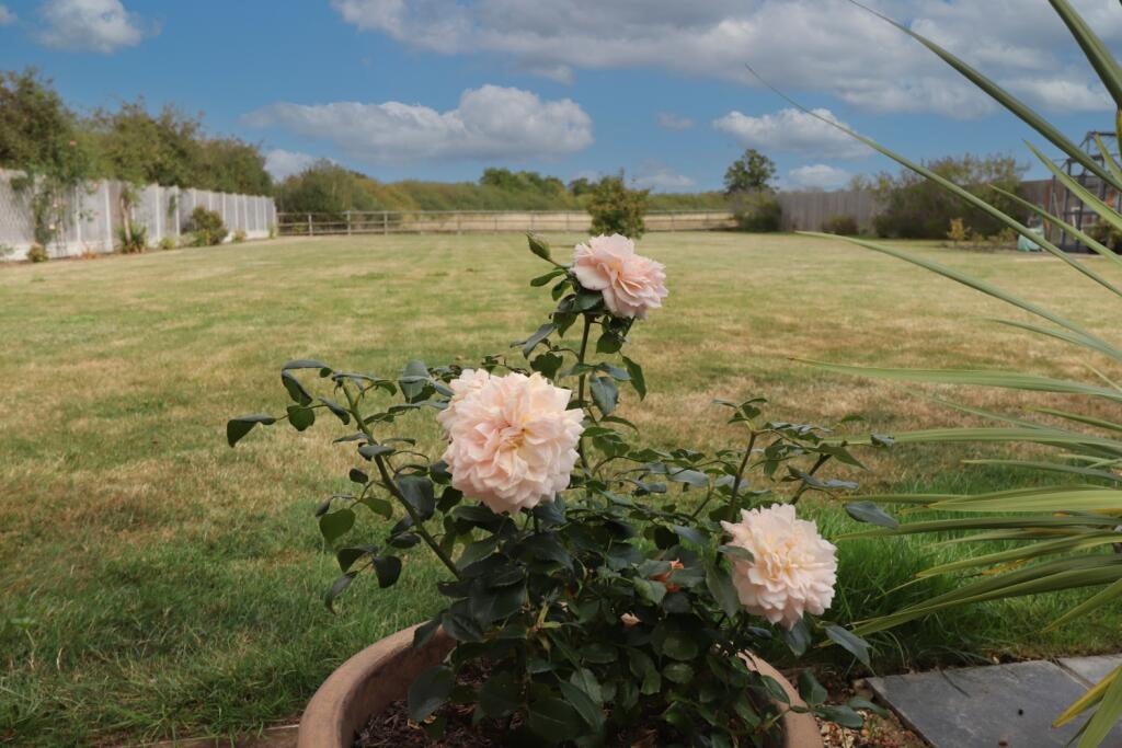 Additional image 30 of Cold Norton Road, Latchingdon, Chelmsford, Essex, CM3