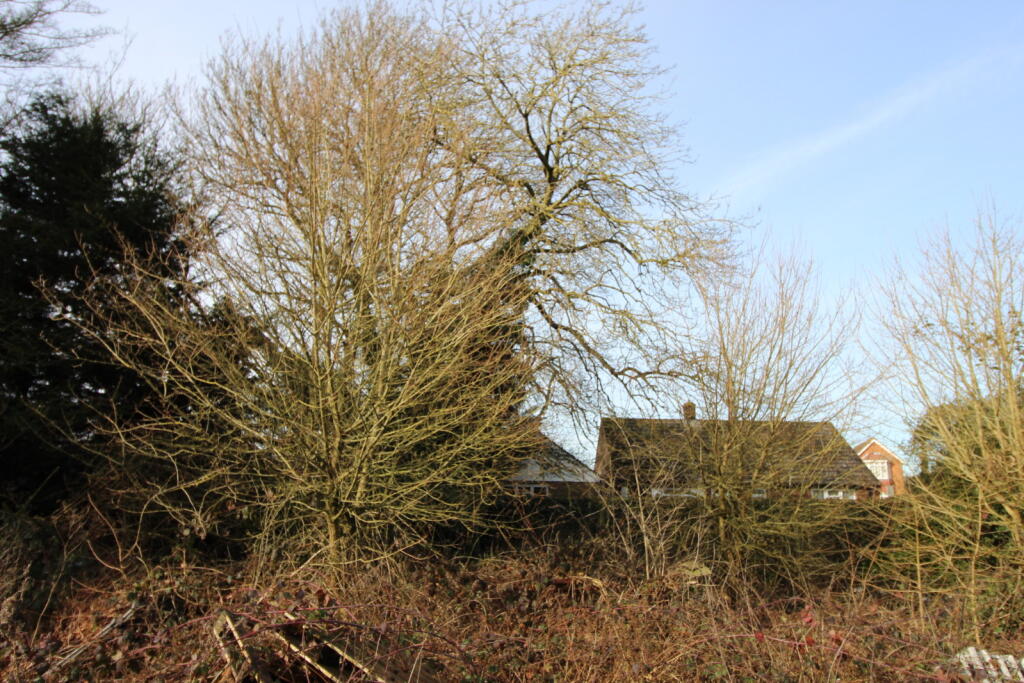 Additional image 6 of Maldon Road, Tiptree, CO5