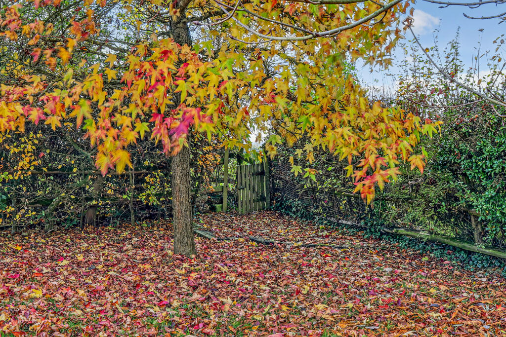 Additional image 25 of King Street, High Ongar, CM5