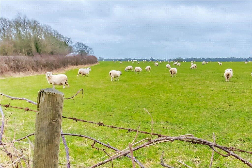 Additional image 3 of Beech Farm Road, Warlingham, Surrey, CR6