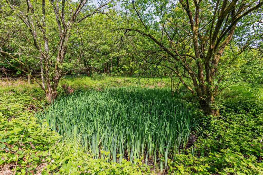 Additional image 27 of Tupwood Lane, Caterham, Surrey