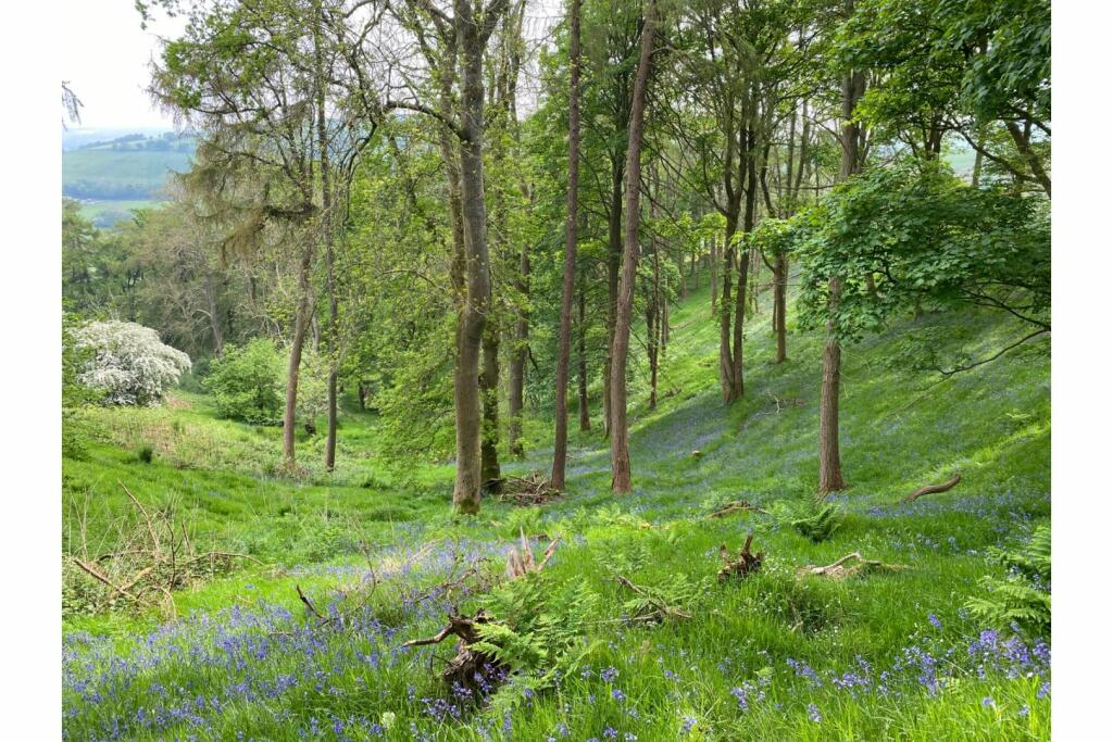 Additional image 24 of Trefechan Road, Mold, CH7