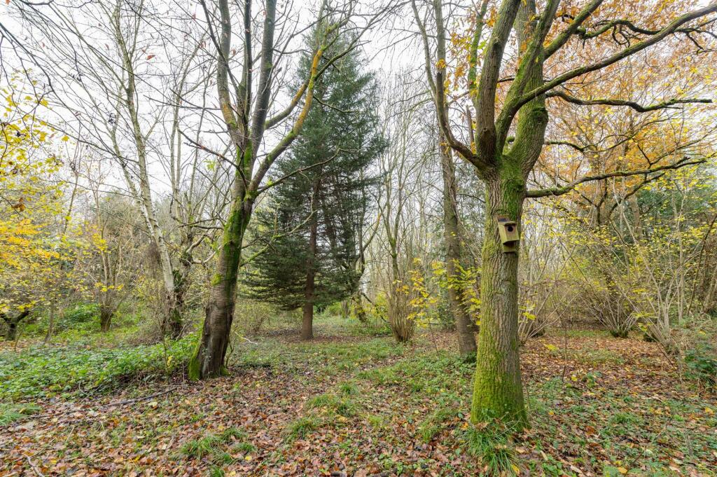 Additional image 15 of Millfield Wood, Millwood Road, Polstead