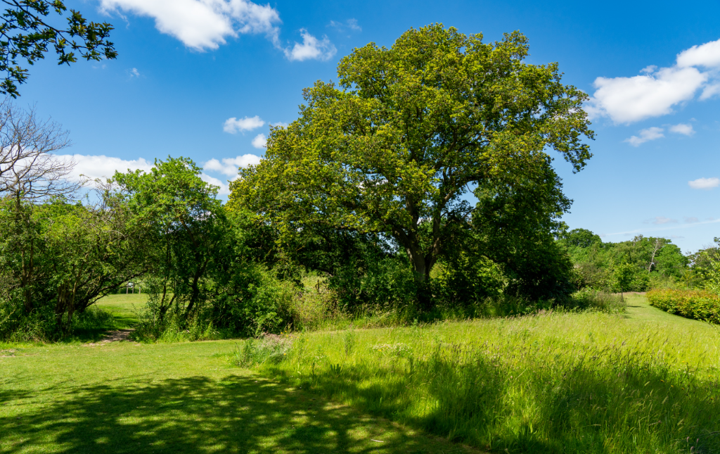 Additional image 10 of Colchester,
CO4 6AZ