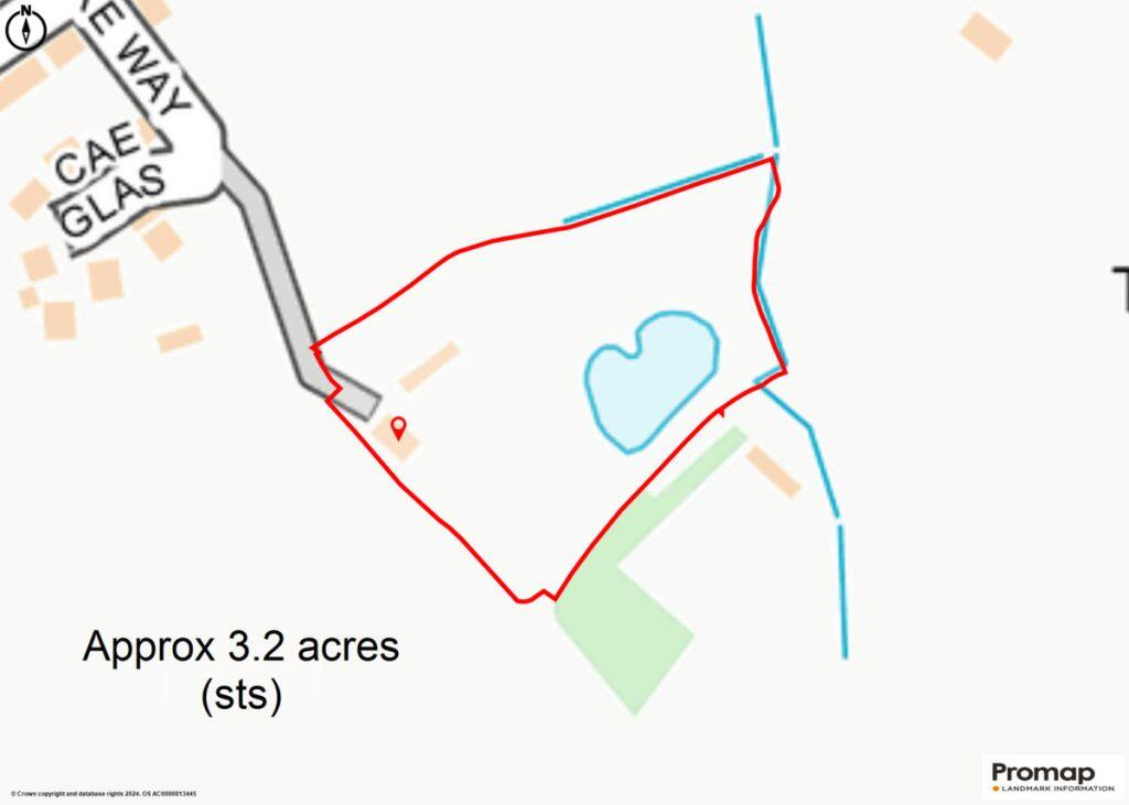 Additional image 33 of The Vownog Sychdyn, Mold