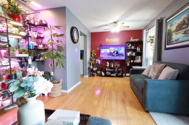 Additional image 12 of 12 Summertime Crt