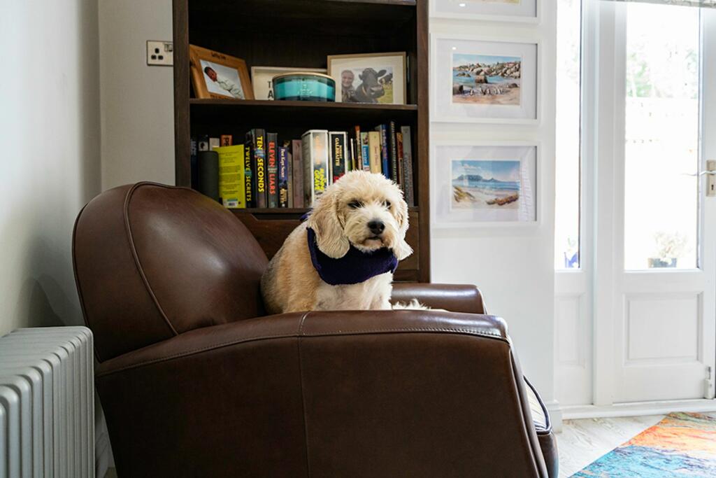 Additional image 23 of Peter Street, Stock, CM4