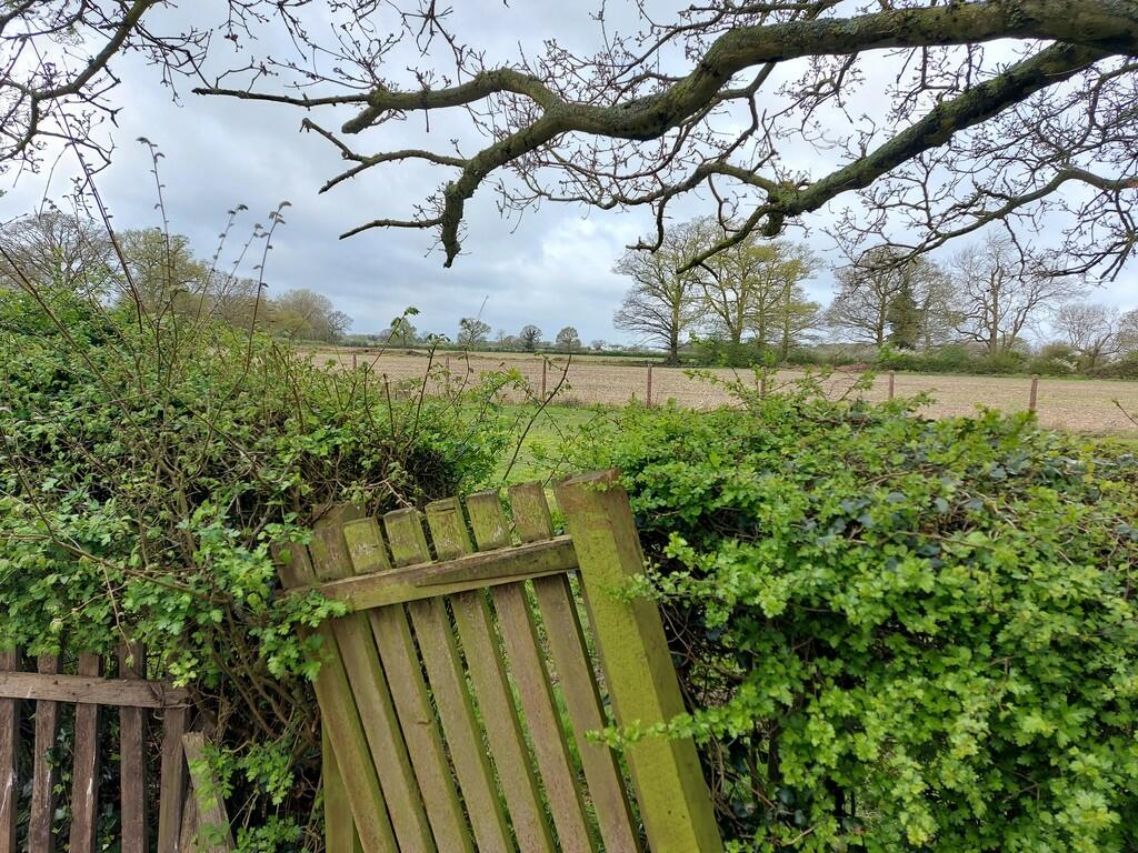 Additional image 19 of Long Gardens, Twinstead, Sudbury