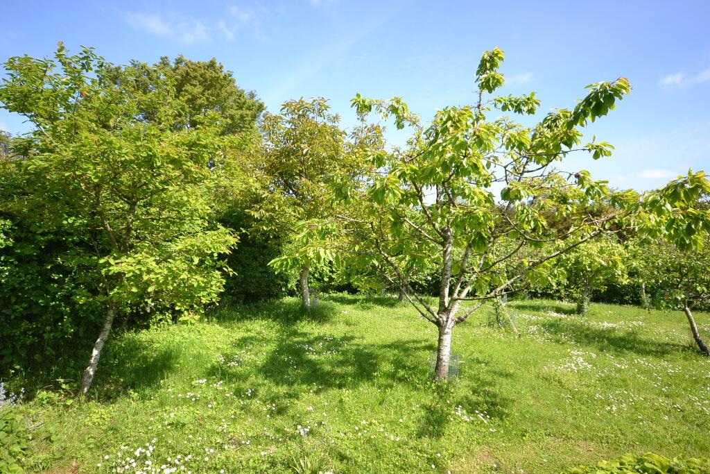 Additional image 39 of Canfield Road, CM22