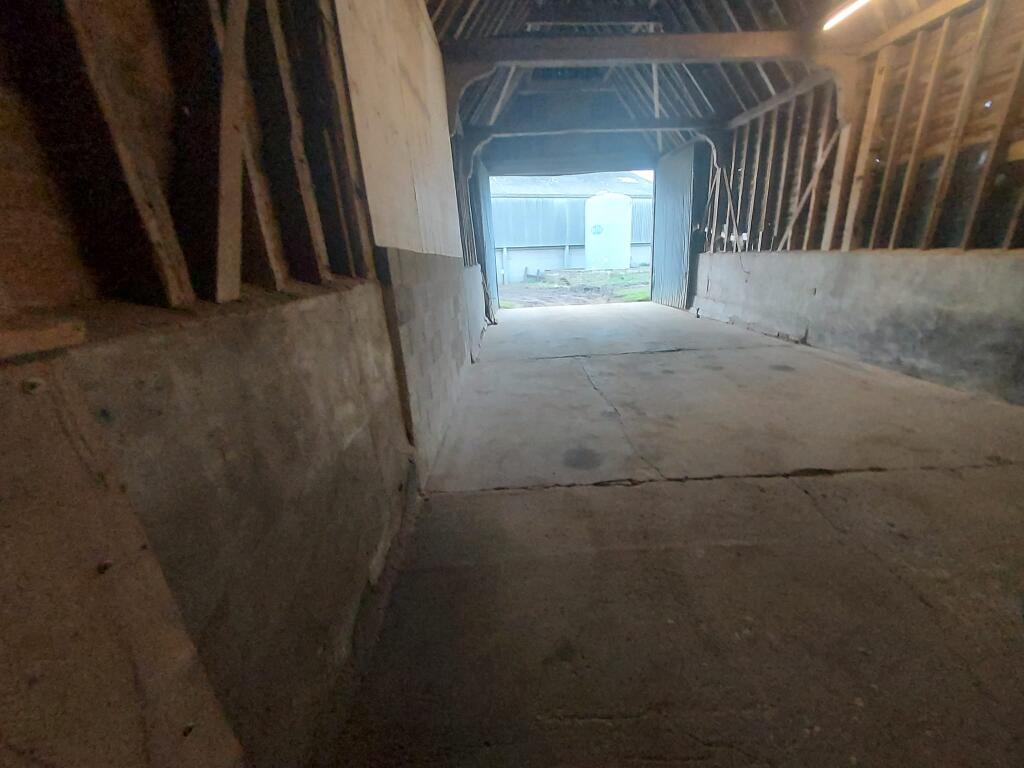 Additional image 4 of Little Oakley