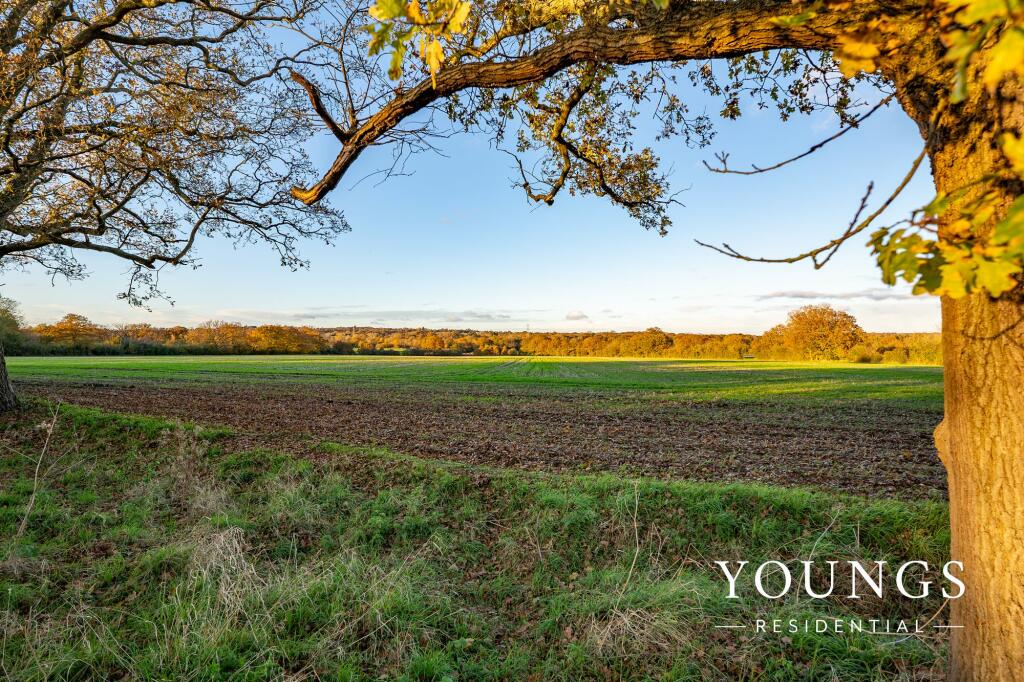 Additional image 37 of White Elm Road, Danbury, CM3