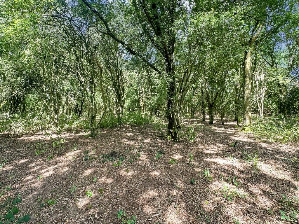 Additional image 34 of Moor Road, Langham