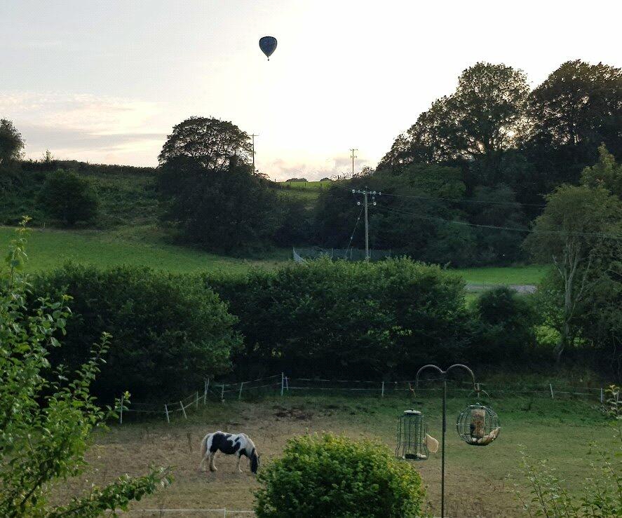 Additional image 39 of Cefn Bychan Woods, Pantymwyn, Mold, Flintshire, CH7