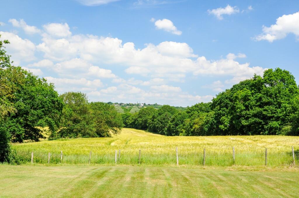 Additional image 45 of Moor Hall Lane, Danbury, Chelmsford, CM3