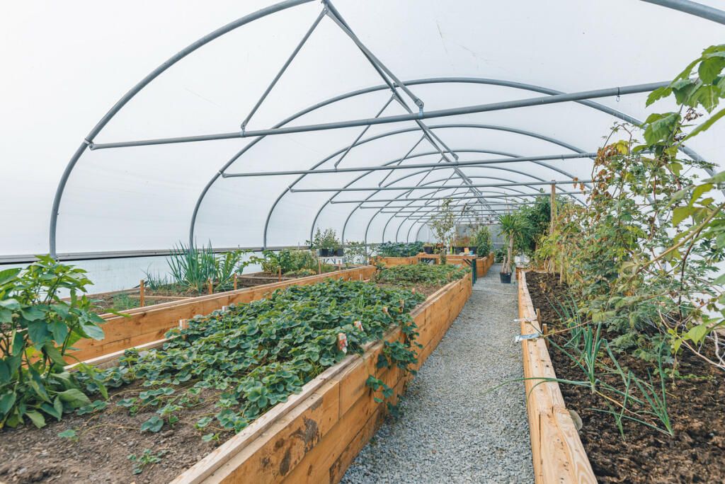 Additional image 36 of Llandegla Road, Mold, CH7