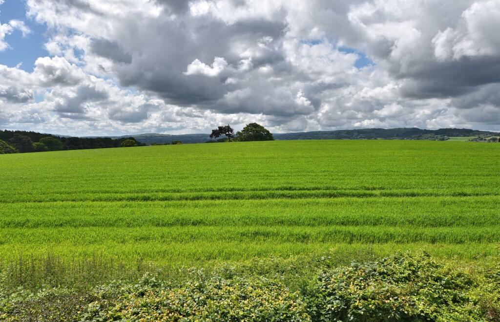 Additional image 28 of Gwysaney, Mold