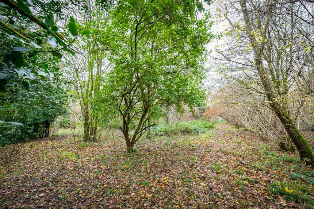 Additional image 17 of Millfield Wood, Millwood Road, Polstead