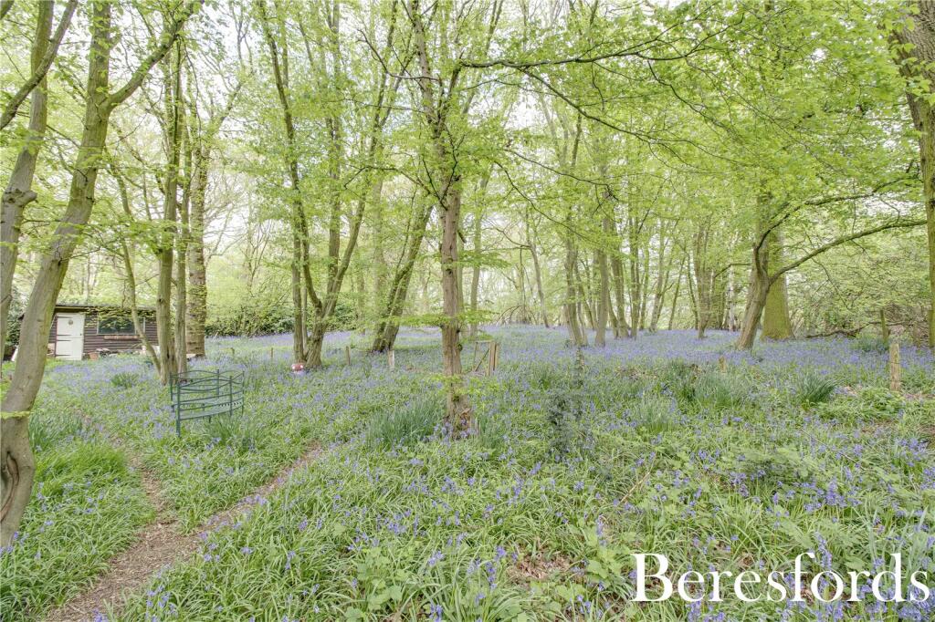 Additional image 21 of Foxborough Chase, Stock, CM4