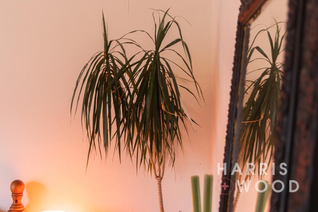 Additional image 18 of Manor Road, Harwich, Essex, CO12