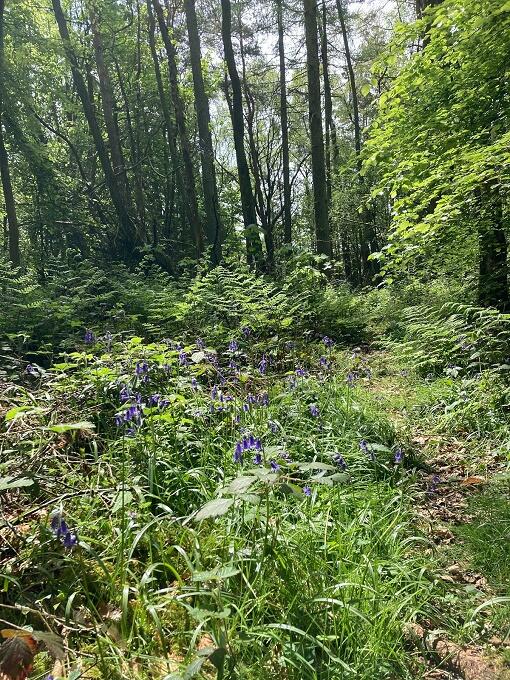 Additional image 2 of Maeshafn, Denbighshire, Wales