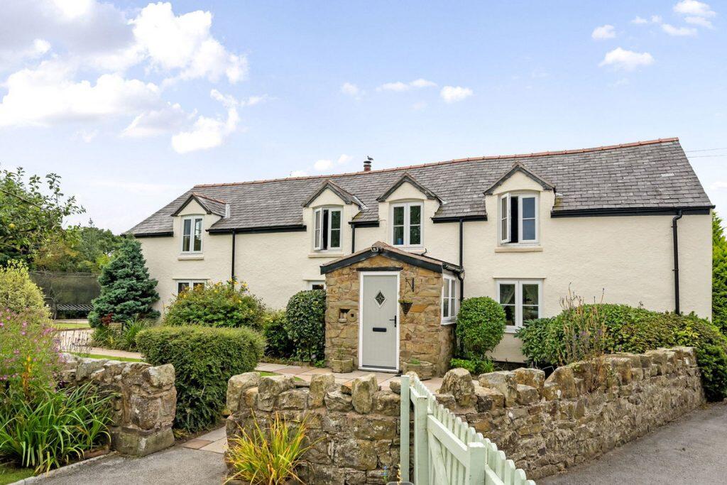 Additional image 40 of The Vownog Sychdyn, Mold