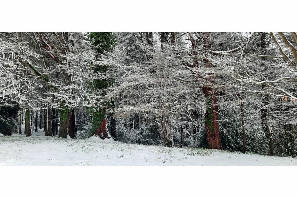 Additional image 47 of Downing Road, Whitford, CH8