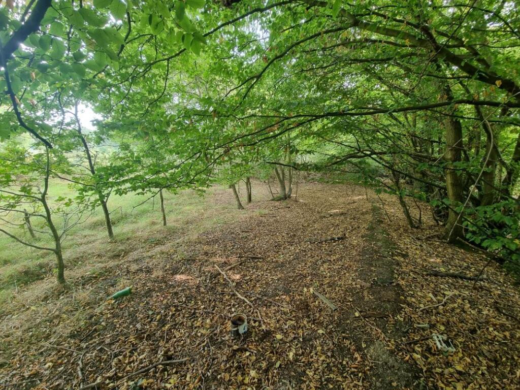 Additional image 8 of Land Lying to the East of, Goatsmoor Lane, Ingatestone, Essex, CM4 9RS