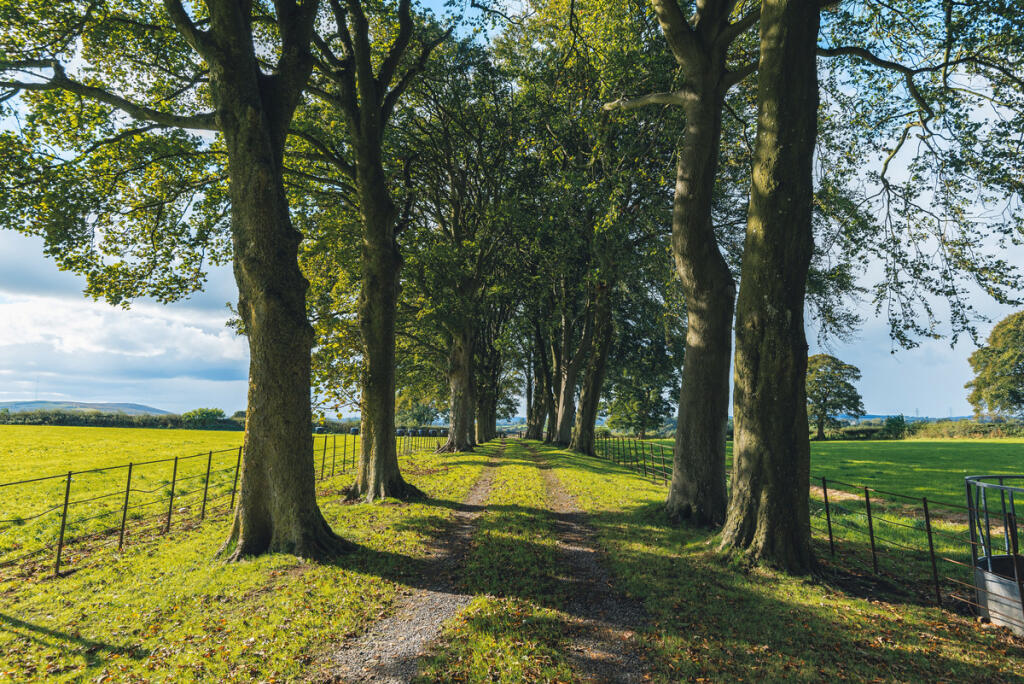 Additional image 4 of Lixwm, Flintshire, CH8