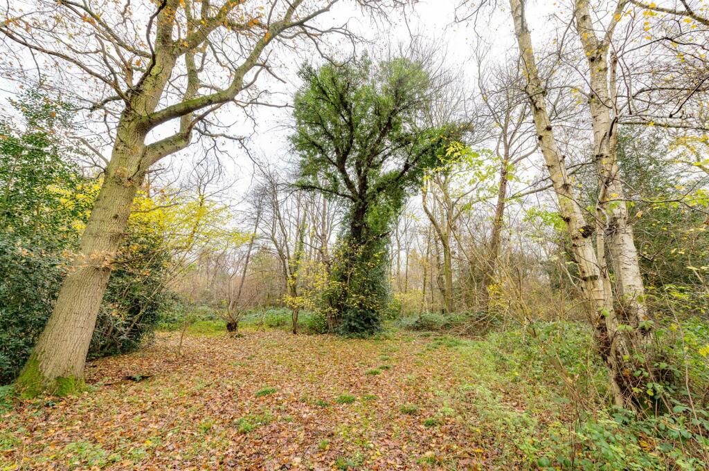 Additional image 18 of Millfield Wood, Millwood Road, Polstead