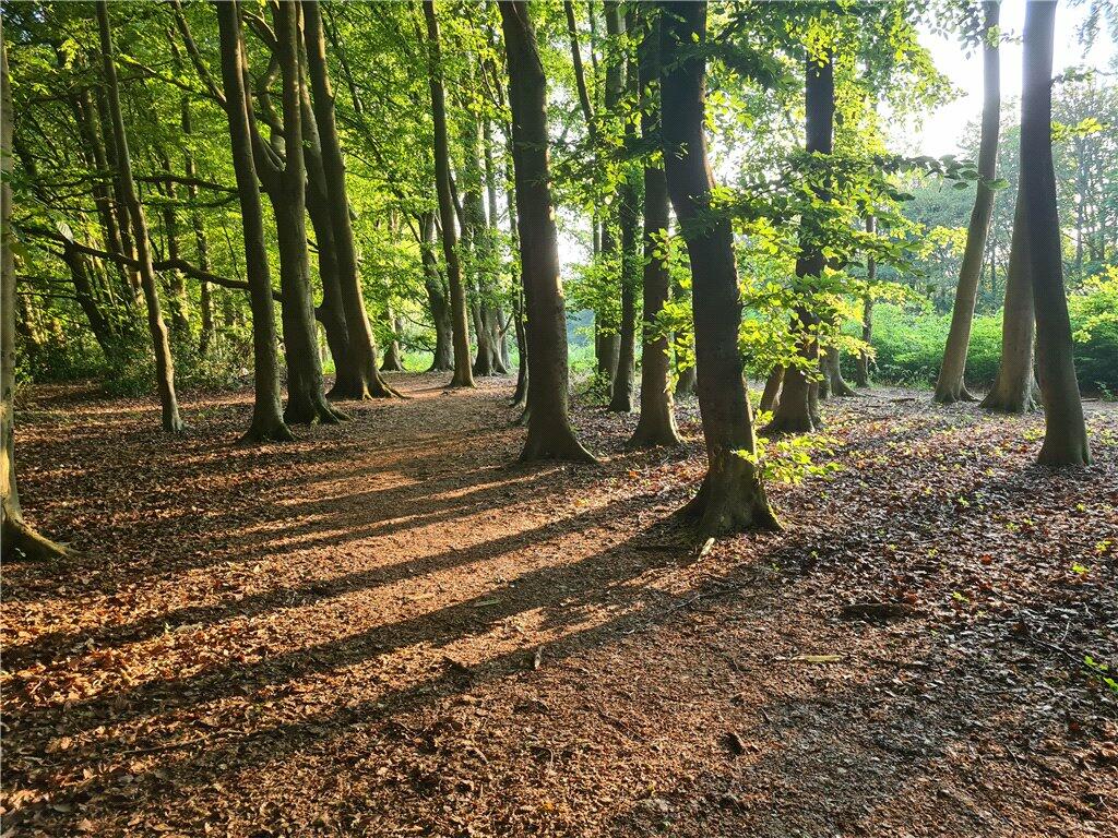 Additional image 19 of Abbotts Walk, Caterham, Surrey, CR3