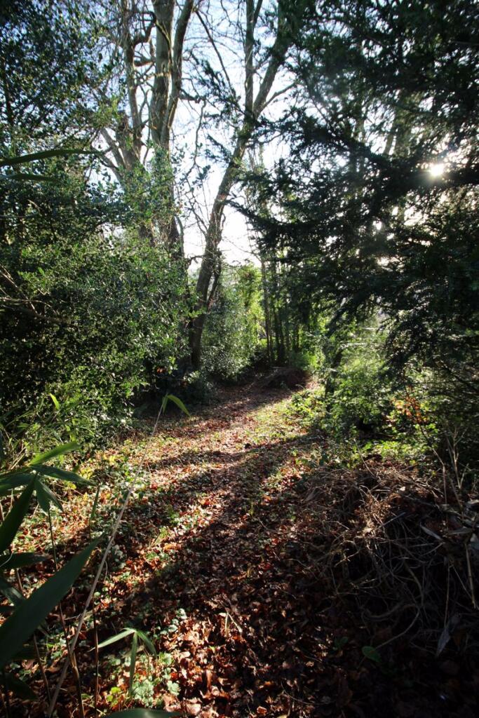 Additional image 25 of BURNTWOOD LANE, CATERHAM